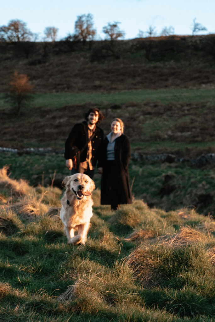 A golden retriever running towards the lens with his owners in the background