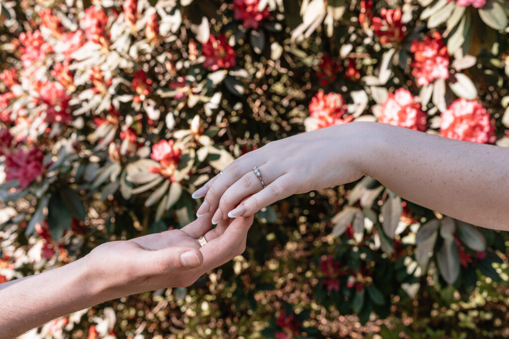 Male and female hands holding each other's finger tips, hers shows off an engagement ring, in front of the flowers at Stourhead Gardens
