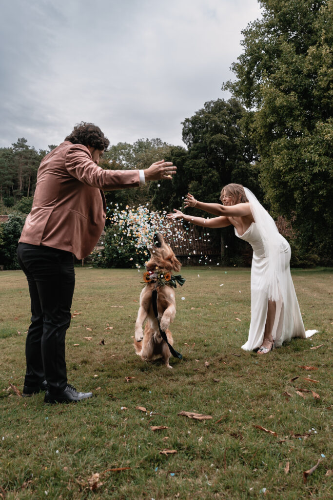 A bride and groom are showering their excited golden retriever with confetti